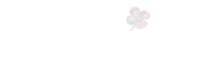 Dreisin Eldercare footer logo